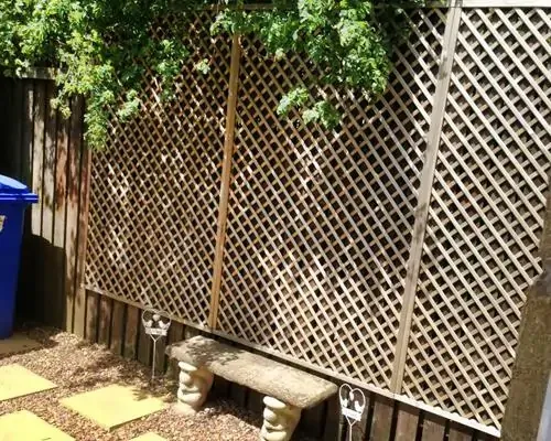 Trellis Top Fencing